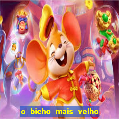 o bicho mais velho da loteria dos sonhos